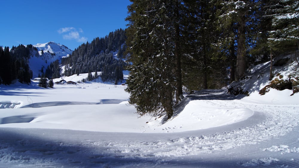 Der Winterwanderweg führt einmal rund um den zugefrorenen See.